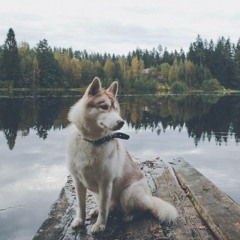 winter is coming
