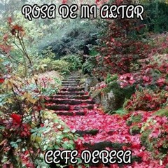 Rosa De Mi Altar
