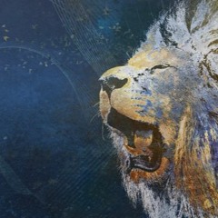 New private playlist