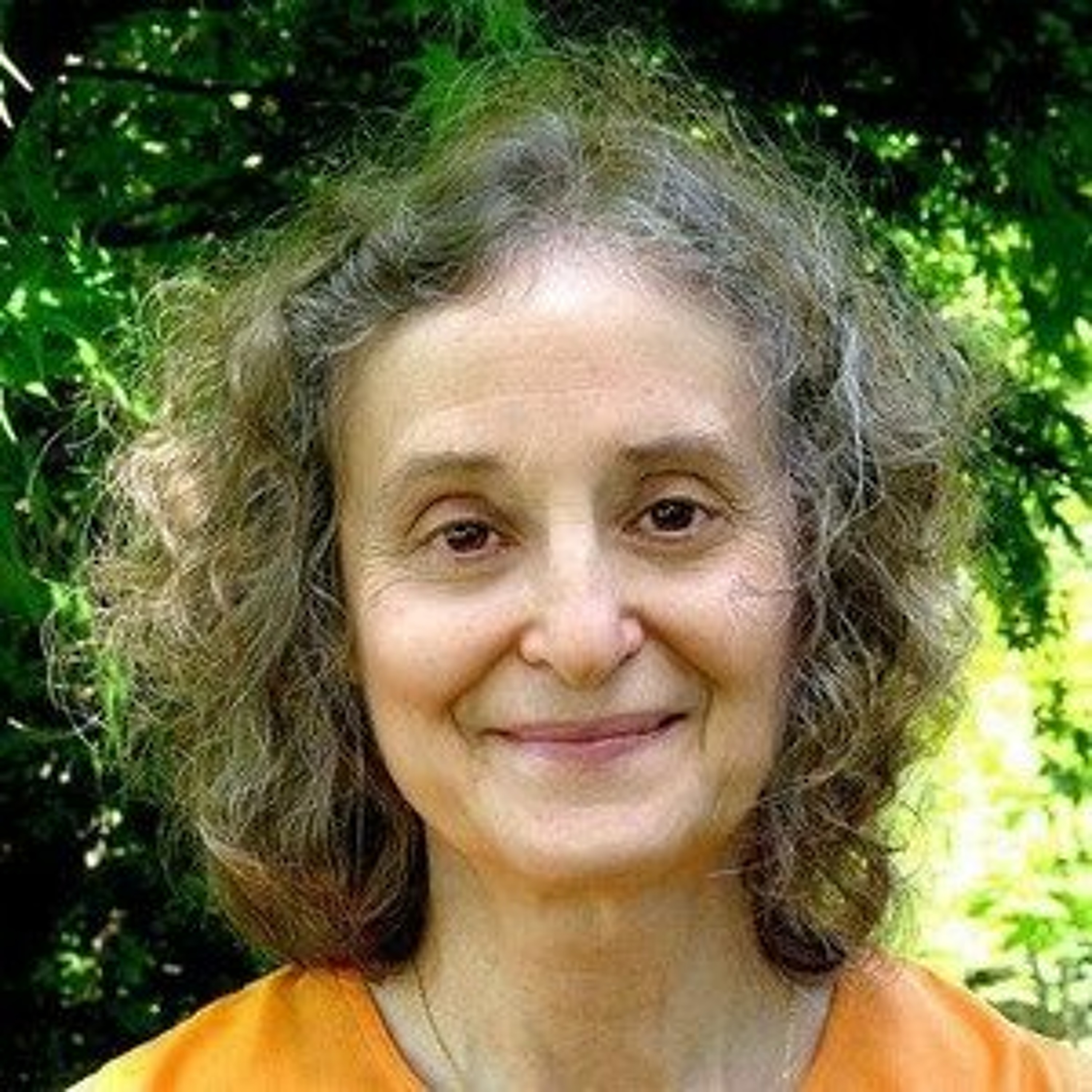 Raja Yoga Workshop 2016 with Swami Karunananda, Part 1 episode artwork