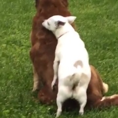 smooooooOoooooth