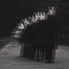 A Little Peace of Mind