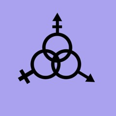 The Shit (psylightenment)