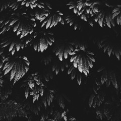 Leroy And Ryan - Dead  [Prod. By aye666]