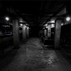 Steven Lorenz - The Shelter ( Digital Monk Remix)