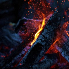 En el bosque de la china