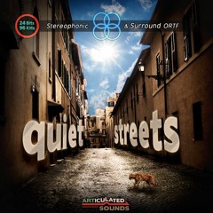 [Demo] QUIET STREETS Sound Library