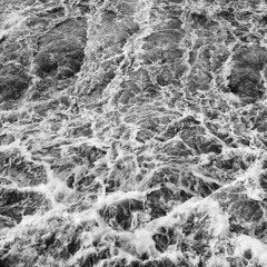 Daniel Mencel - Fertilitas