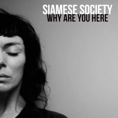Why Are You Here (FREE DOWNLOAD)