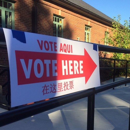 Voter Turnout at Banneker Polling Place