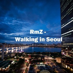 Walking In Seoul - RmZ