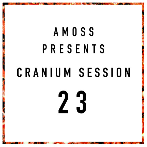 Cranium Session S.1 - 23