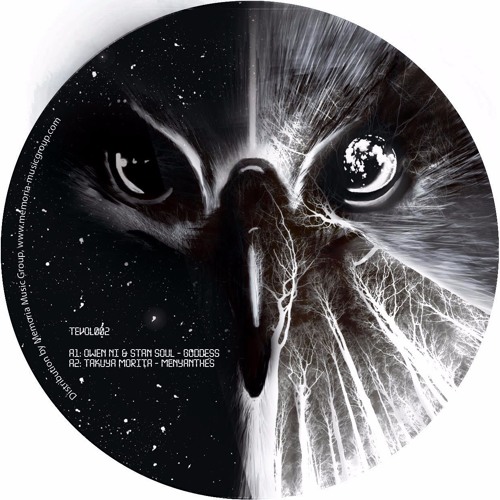 A1. Owen Ni & Stan Soul - Goddess (snippet)