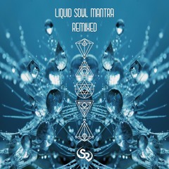 Spoken Bird - Liquid Soul Mantra (Duffrey Remix)