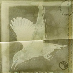 Karl-Johan Nilsson - Susplended