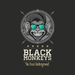 Training Day - Don Rybass & Rick Santino (Live session akai mpc 1000)BLACK MONKEYS