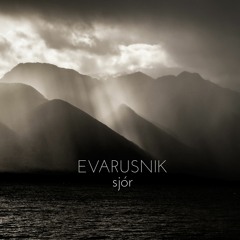 What Would You Be If