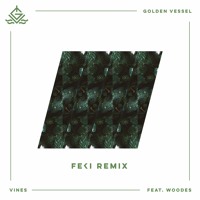 Golden Vessel - Vines (Ft. Woodes) (Feki Remix)