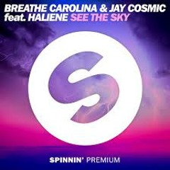 Breathe Carolina & Jay Cosmic feat. Halienie  See The Sky Vs Pierce Audi (Andrea Labate Mashup)