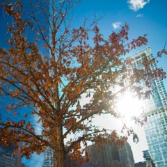 Wt d u cRave? Feat. Sanna Hartfield