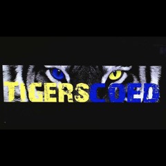 Tigers Coed - Nacional 2016