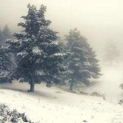 Winter Vibes