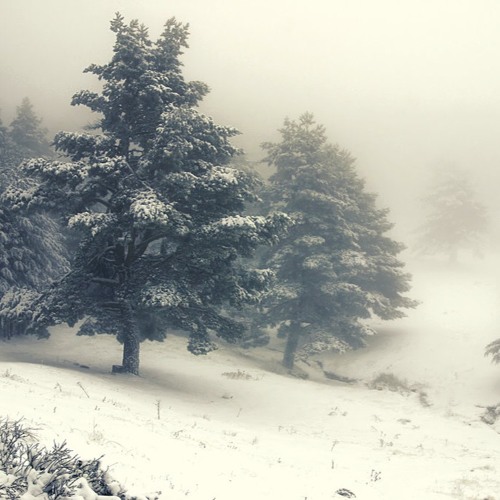 Winter Vibes