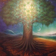 Ayahuasca -Diamante 176