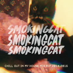Chill Out the cat in my house for chill house (mix rip 2014-2016)