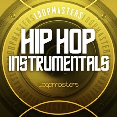 Loopmasters - Hip Hop Instrumentals Remixed on NinjaJamm 08-11-16 at 20-19-42