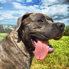 Kollektiver Einklang - Podcast - 05.11.16 ...