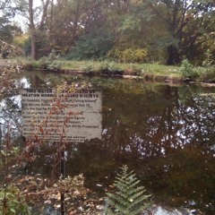 Search for the secret lake