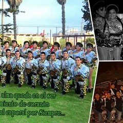 Sambos Por Siempre filial Tacna - convocatoria