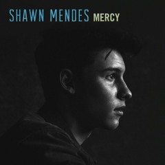 Mercy - Shawn Mendez (NICKVEEZEE BOOT)