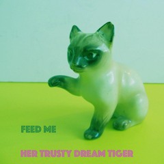 Feed Me by Her Trusty Dream Tiger ft. lemonade