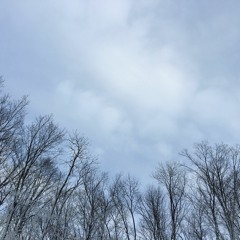 Children of the Winter (3/3/16)