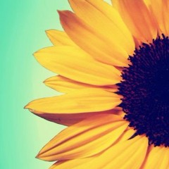 Digitalove - Sunflower