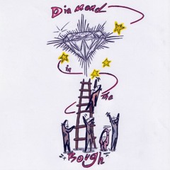 Diamond In the rough Feat Mf Bennett