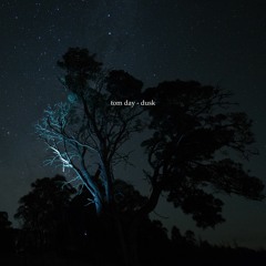 Tom Day - Dusk