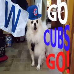 Go Cubs Go! (Feat. Gabe The Dog)