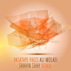 Ali Molaei - Vasataye Paeez (Shahin Shah Remix)