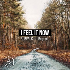 I Feel It Now - Alber-K.ft.Bogomil (Original Mix)