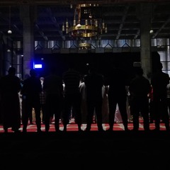 أواخر المؤمنون - الشيخ هاني الشحات