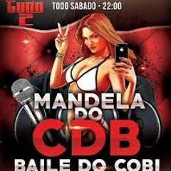 Mega Ao Vivo Do Baile Do Cobi [DJ Scooby Dú JA]