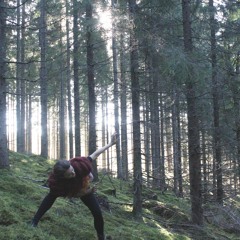 Flyktfågel // Emigrant bird