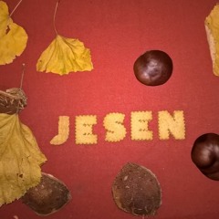 JESEN_FINAL
