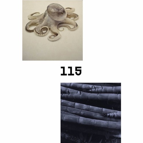 LAYER #115 | Serial Experiments + STRAPONTIN