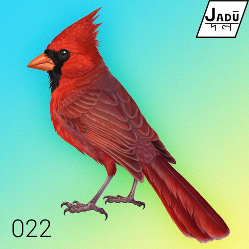 acaer - slow down (JADŪ022)