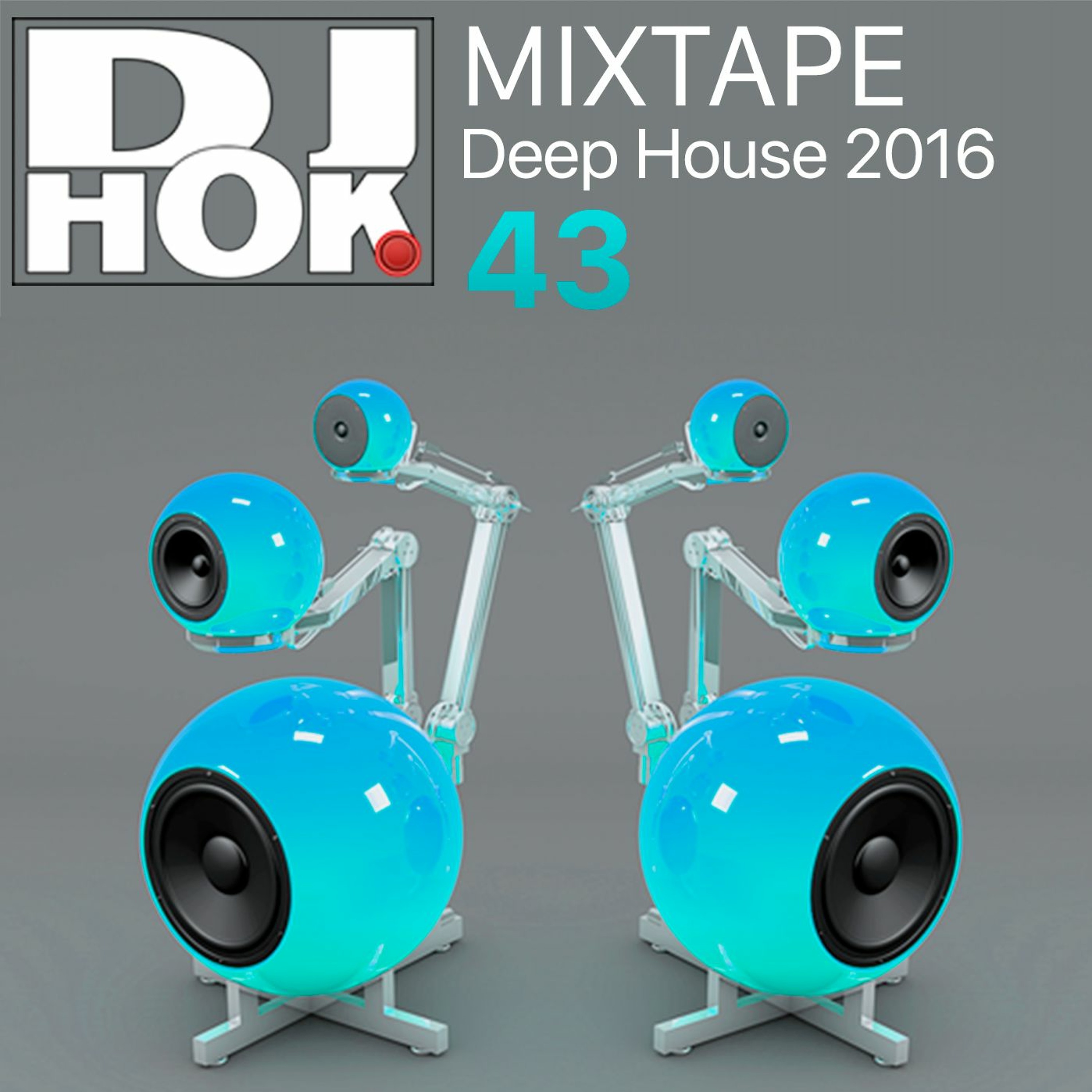 Deejay Hok