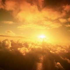 I will not come back